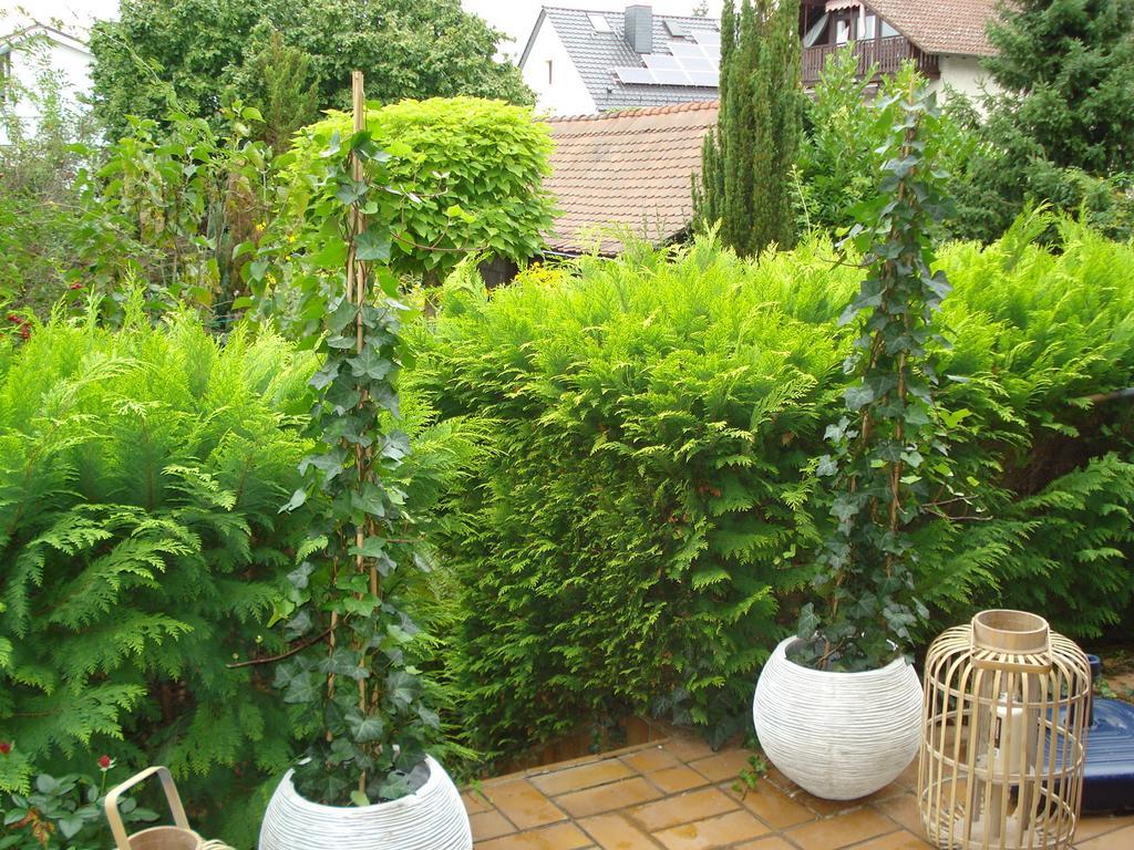 Ferienwohnung Sartorius Bensheim Bilik gambar